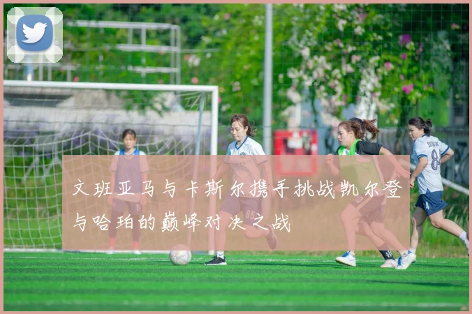 文班亚马与卡斯尔携手挑战凯尔登与哈珀的巅峰对决之战